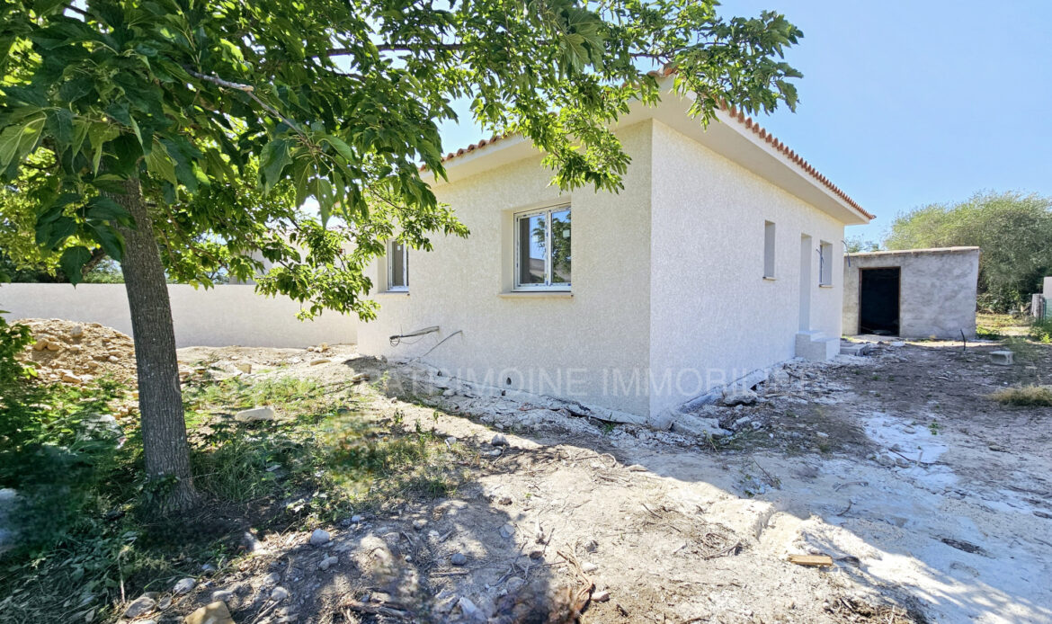 23842c12.jpg