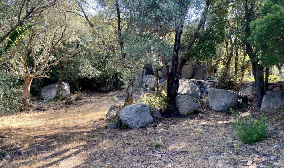 b4422c71.jpg