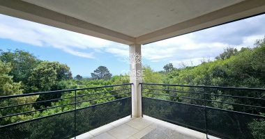 137e3f09.jpg