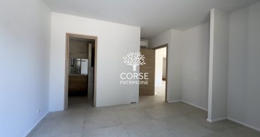 31e75181.jpg