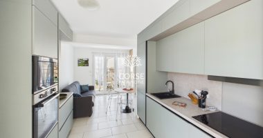 853077e7.jpg