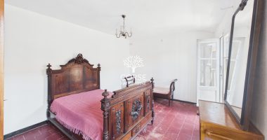 8b582a77.jpg