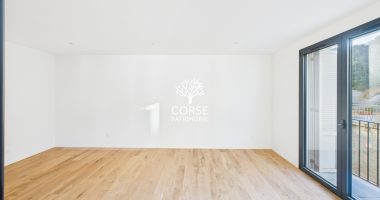 cfab9e05.jpg